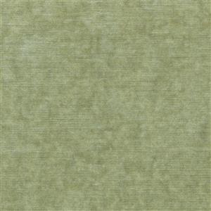 Winter Pear 36