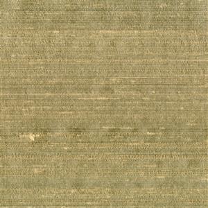 Seagrass 003***