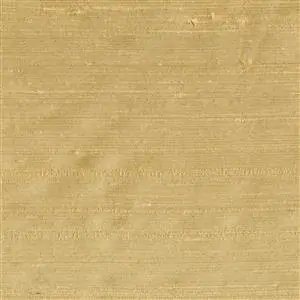 Sahara 006***
