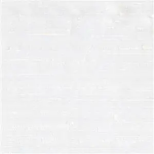 Snow 012