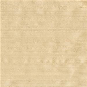Putty 019