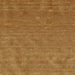 Tan 027