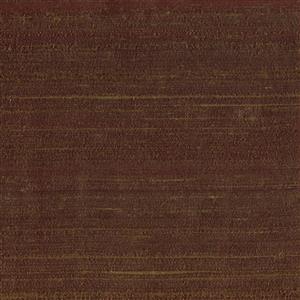 Chestnut 029