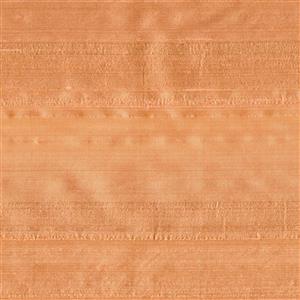 Coral 041