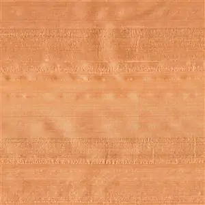 Coral 041