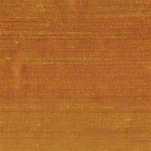 Amber 045
