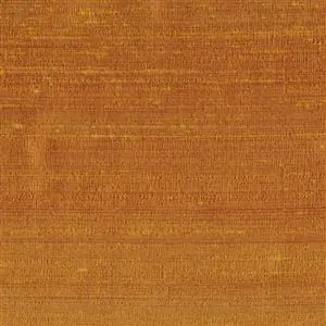 Amber 045