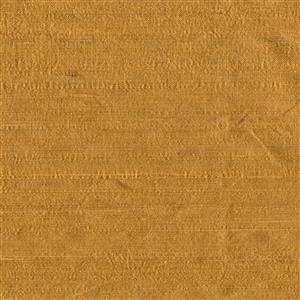 Camel 046