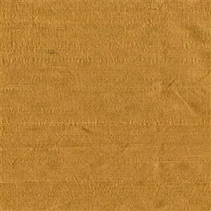 Camel 046
