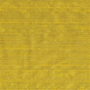 Acacia 053***