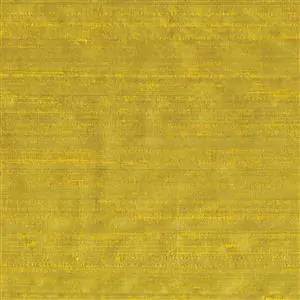 Acacia 053***