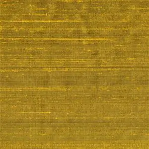 Turmeric 056***