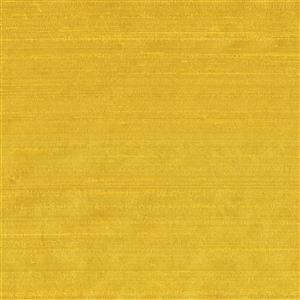 Sunflower 057