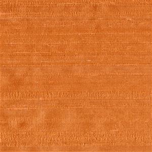 Apricot 066