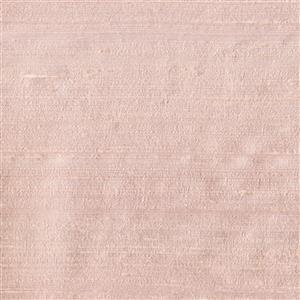 Primrose 081