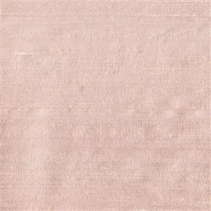 Primrose 081