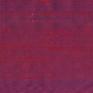 Fuchsia 089