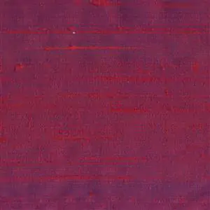 Fuchsia 089