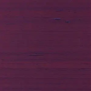Eggplant 094