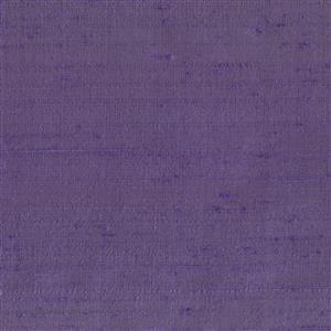 Wisteria 110