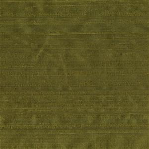 Olive 120
