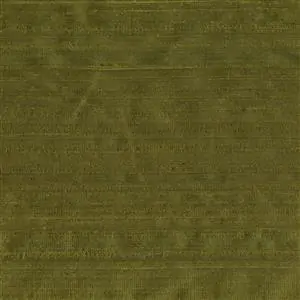 Olive 120