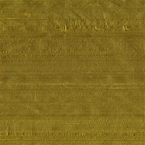 Bamboo 124