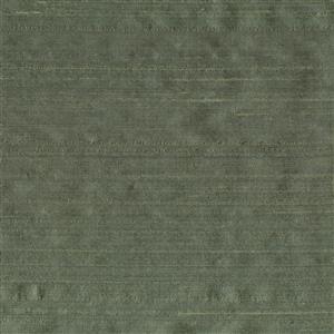 Lichen 133