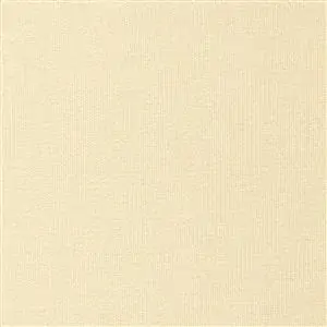 Raffia-10
