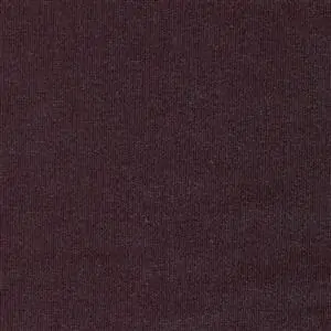 Eggplant-28