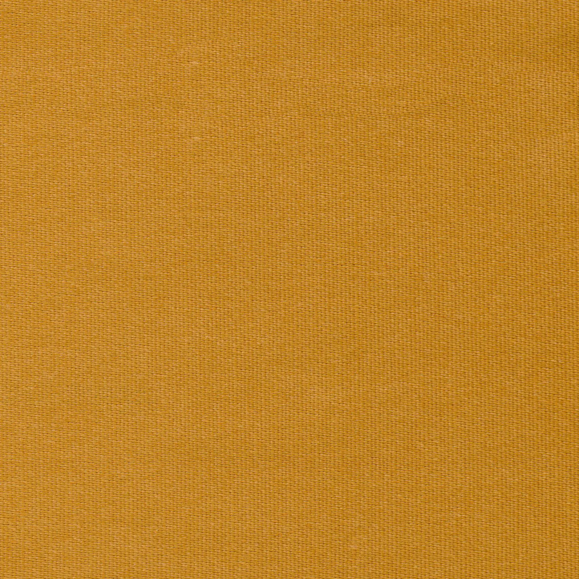 Cadmium-41