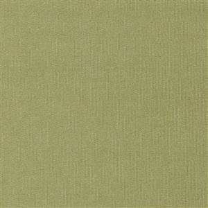 Celery-45