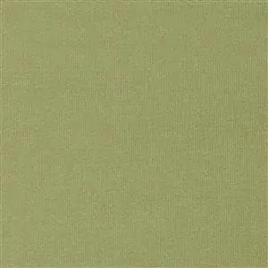 Celery-45