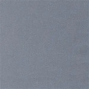 Celeste-48