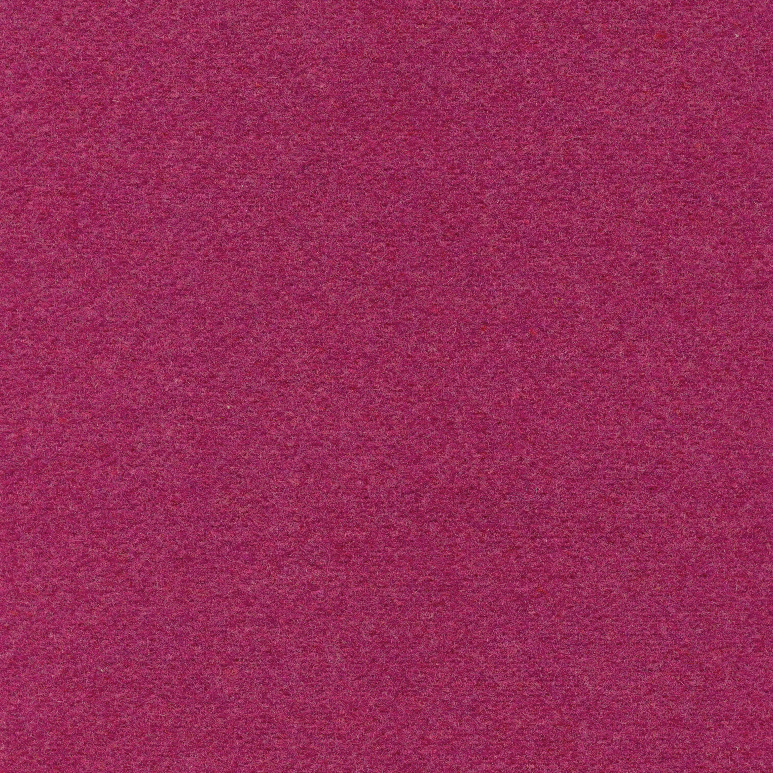 NORMA FUCHSIA-003***