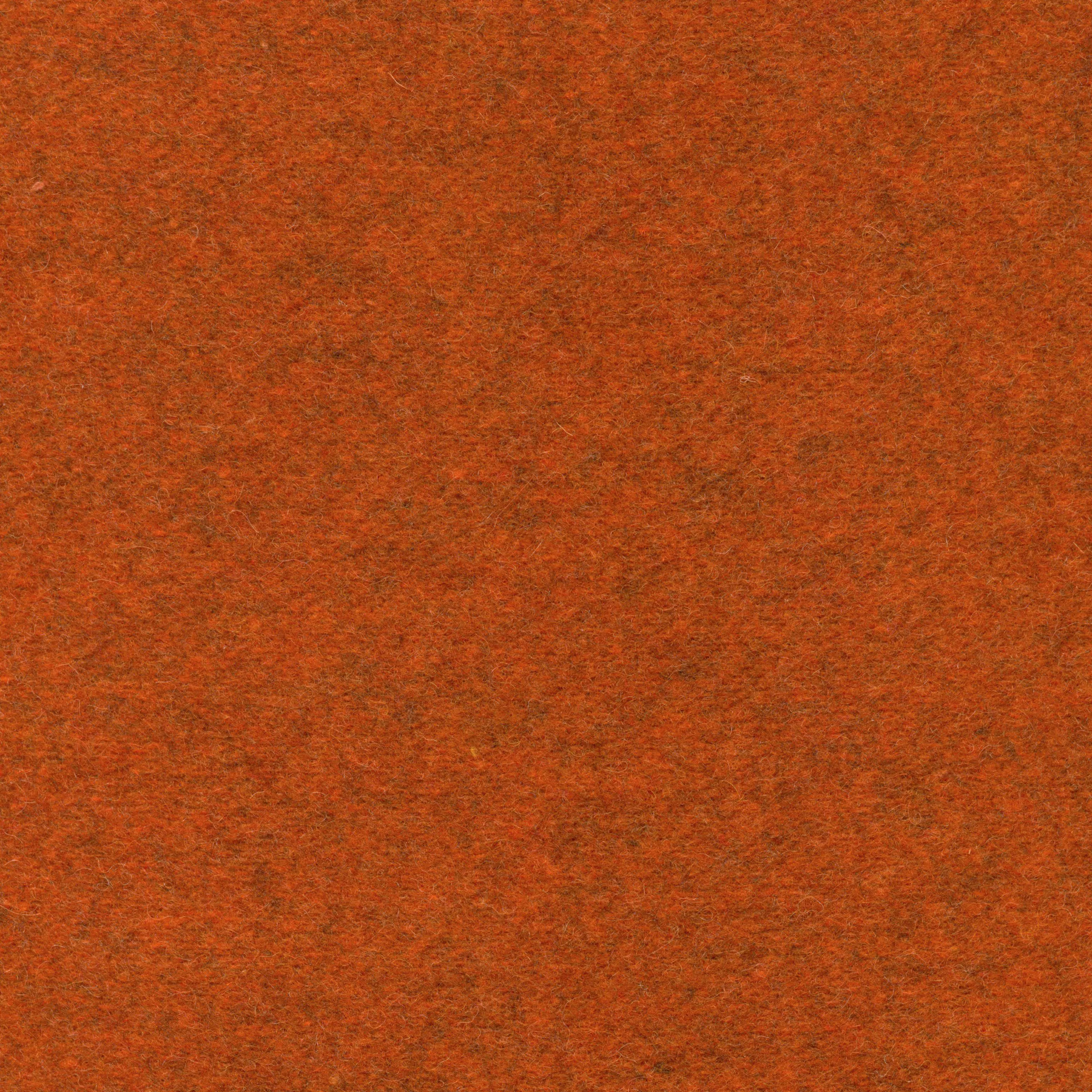 NORMA TANGERINE-303***