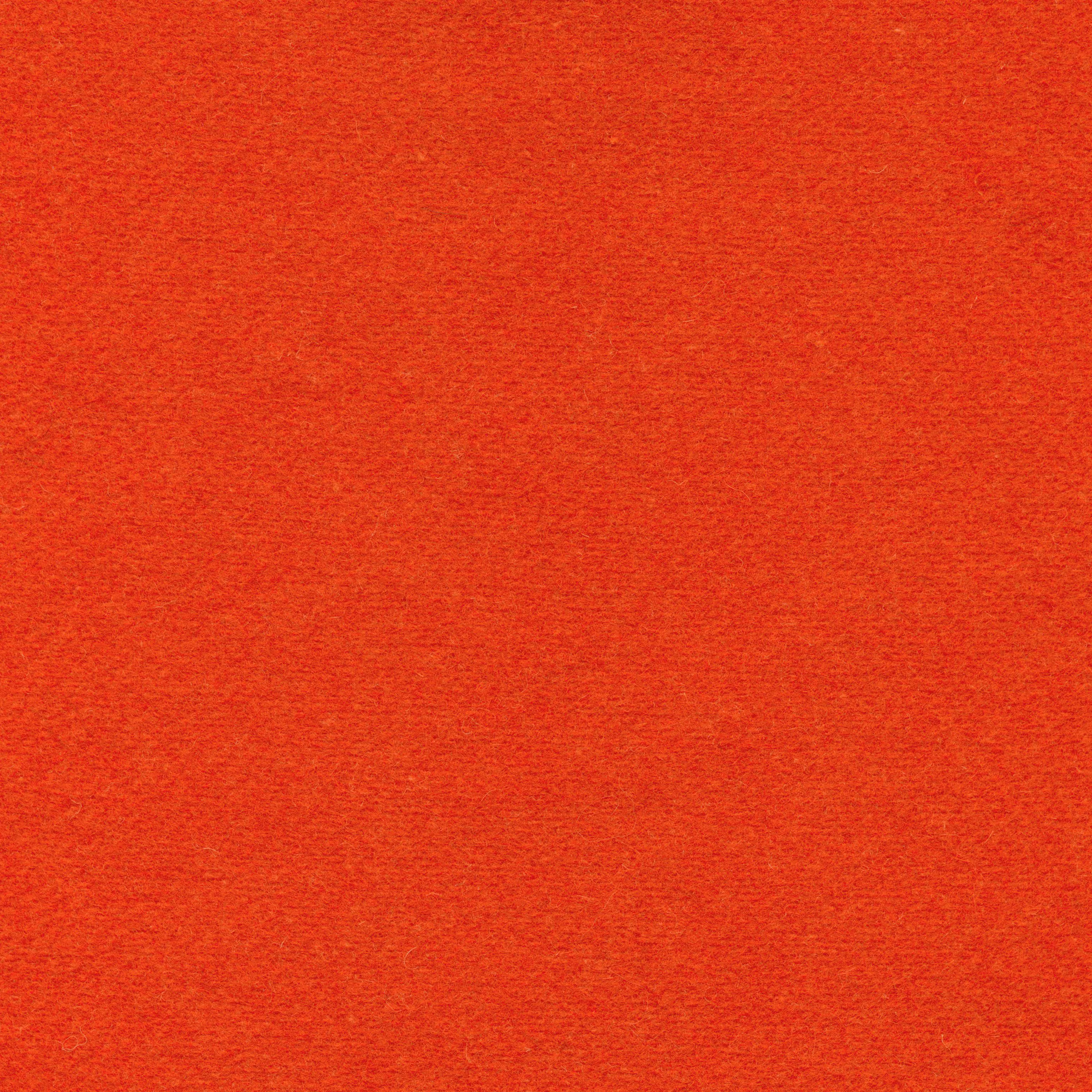 OMAR TANGERINE-300***