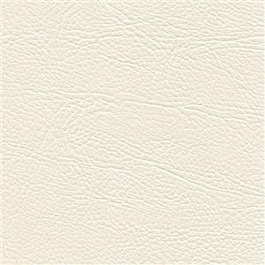 White 82