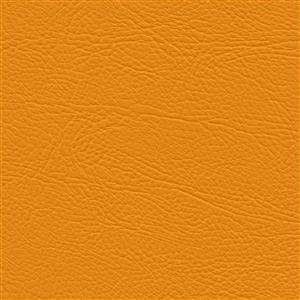 Mango 16