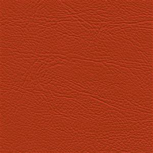 Coral 12