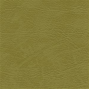 Kiwi 81