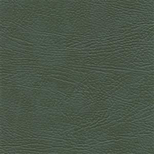 Lichen 31