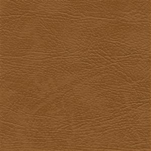 Camel 59