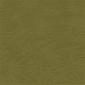 Olive 40