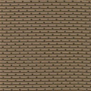 OZON BRONZE-24***