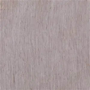 Chocolate-16