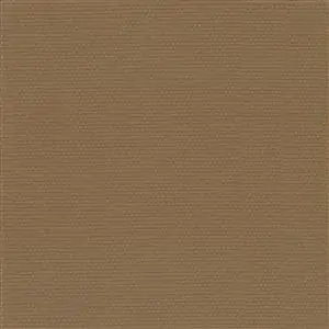 Bronze-19