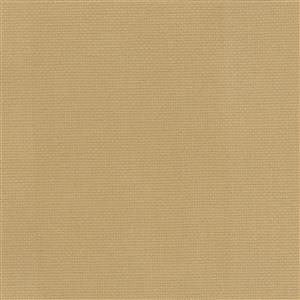 Jute-05