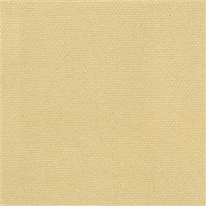 Sesame-04