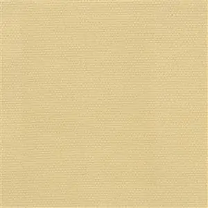 Sesame-04